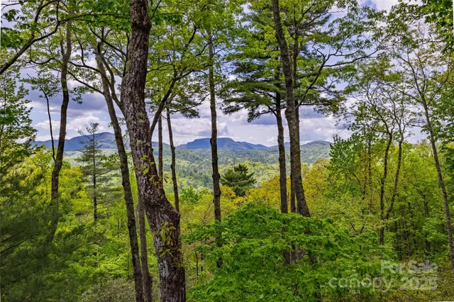 a view of swimming pool from a garden