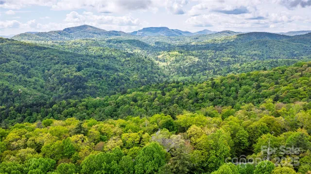a view of a lush green hillside and houses