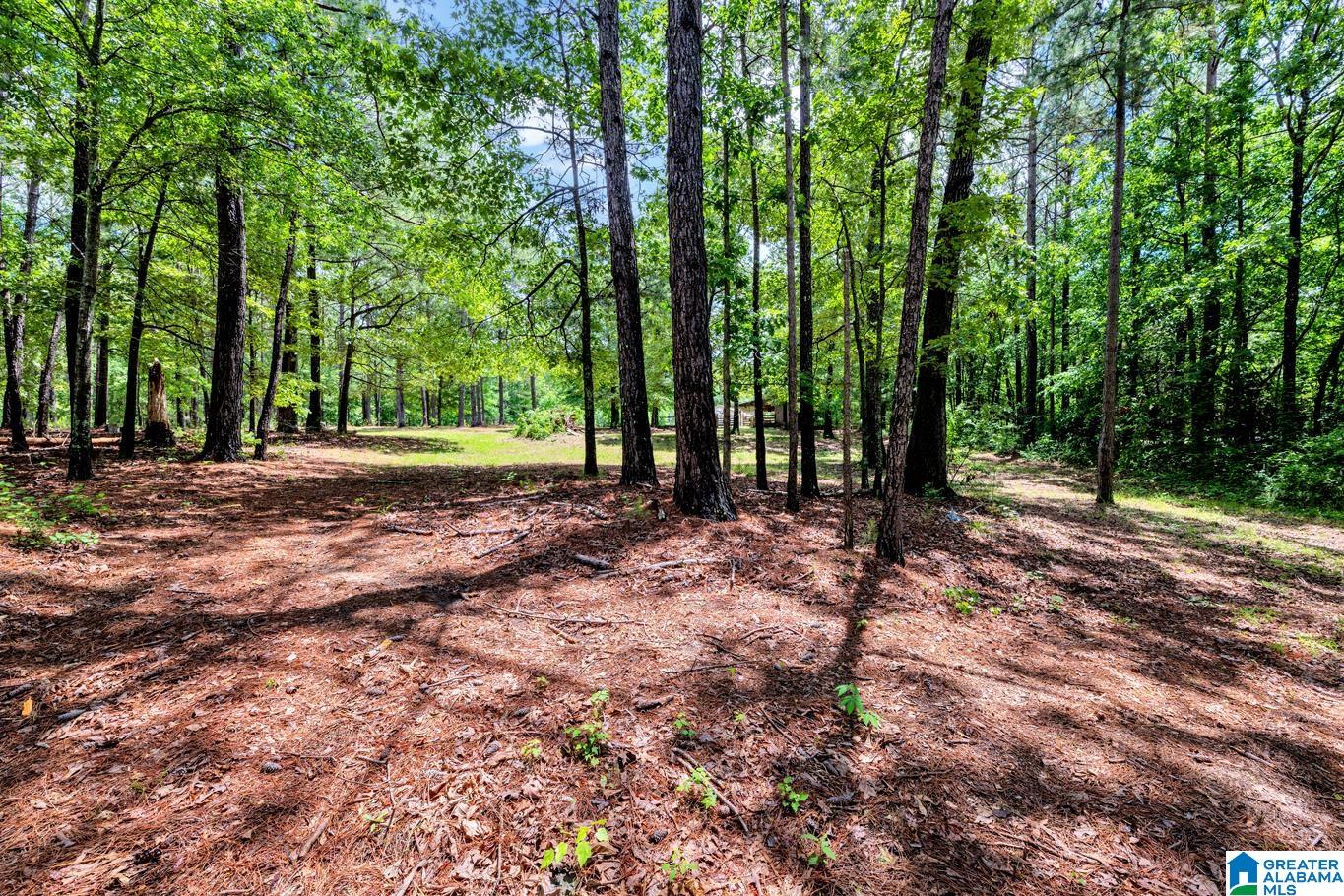 910 Smelley Road Talladega, AL 35160 - Photo 29 of 30