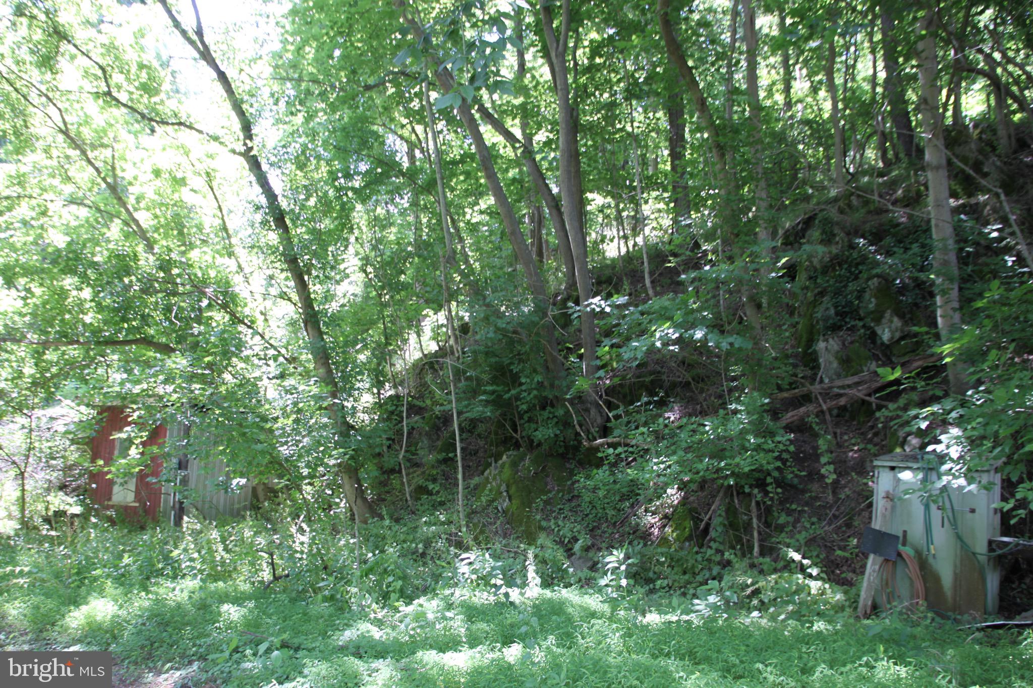 Vineyard Road, Unit 1 Falling Waters, WV 25419 - Photo 8 of 14 uphill portion of lot#1 ,ends about 200' up