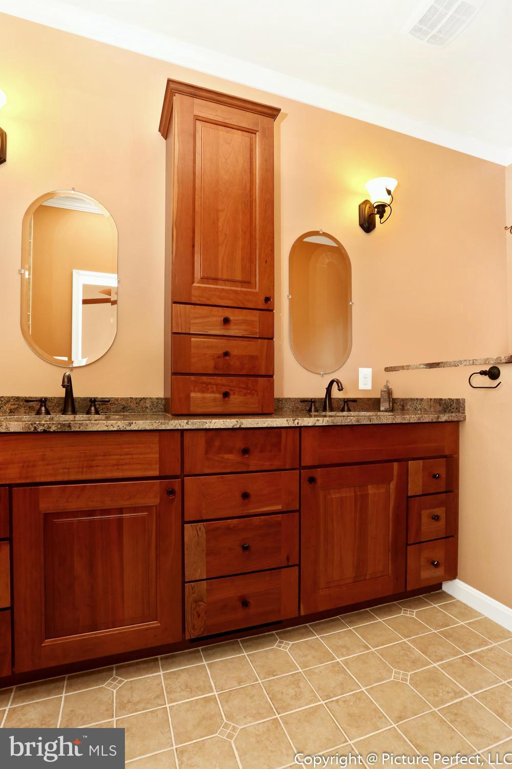 2557 Bear Den Road Frederick, MD 21701 - Photo 15 of 30 a bathroom with a sink and a mirror