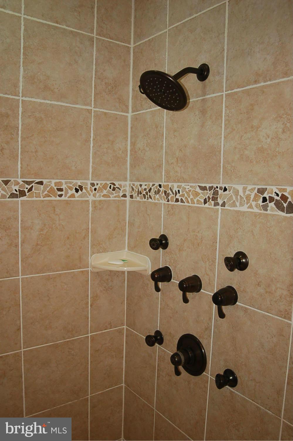2557 Bear Den Road Frederick, MD 21701 - Photo 17 of 30 a bathroom with a shower