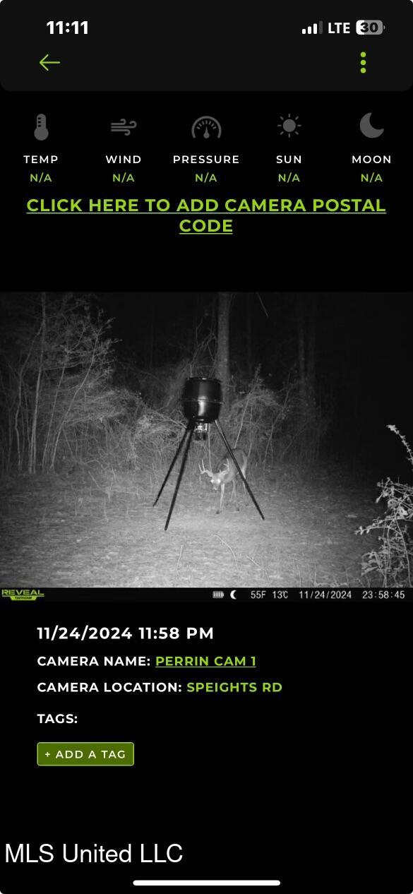 Screenshot 2024-11-25 at 11.11.48AM