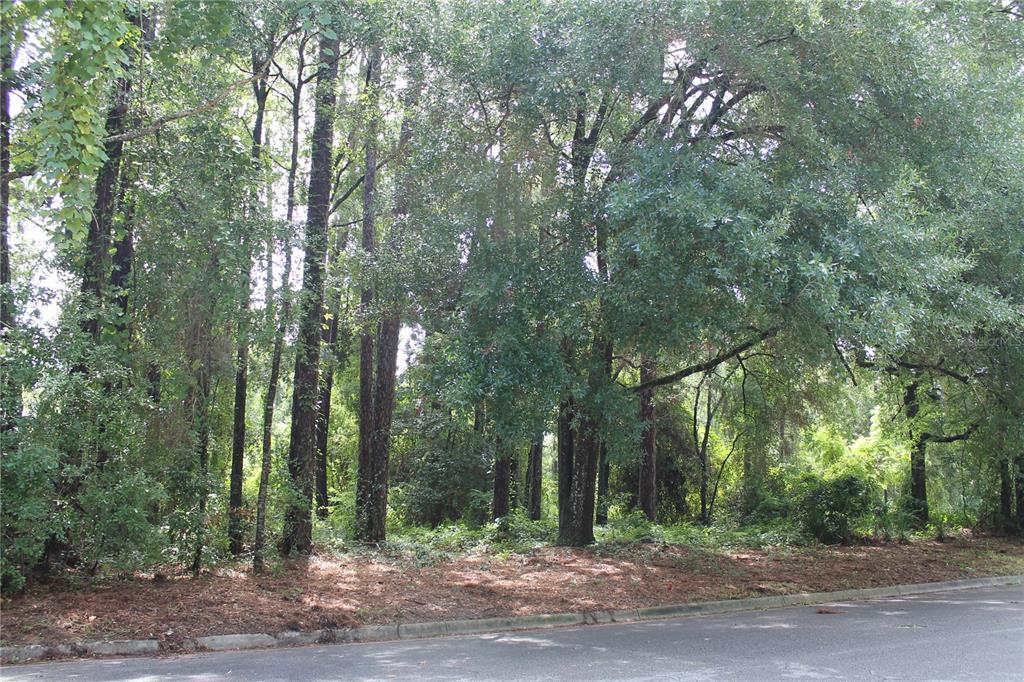 2030 Southwest 70th Terrace Gainesville, FL 32607 - Photo 3 of 6