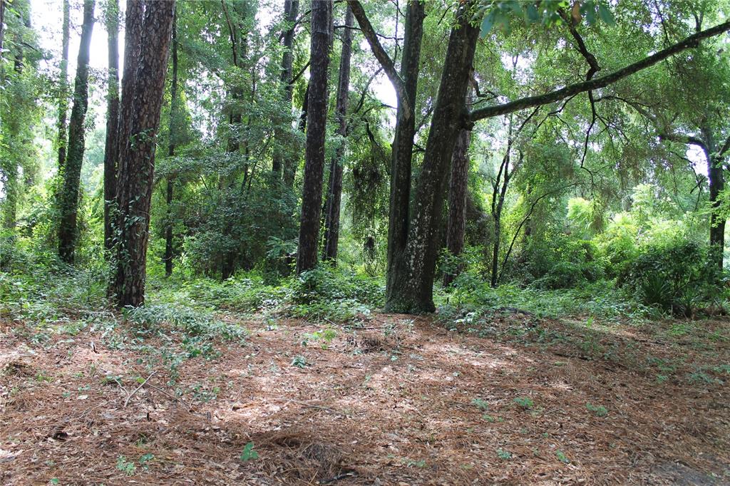 2030 Southwest 70th Terrace Gainesville, FL 32607 - Photo 5 of 6