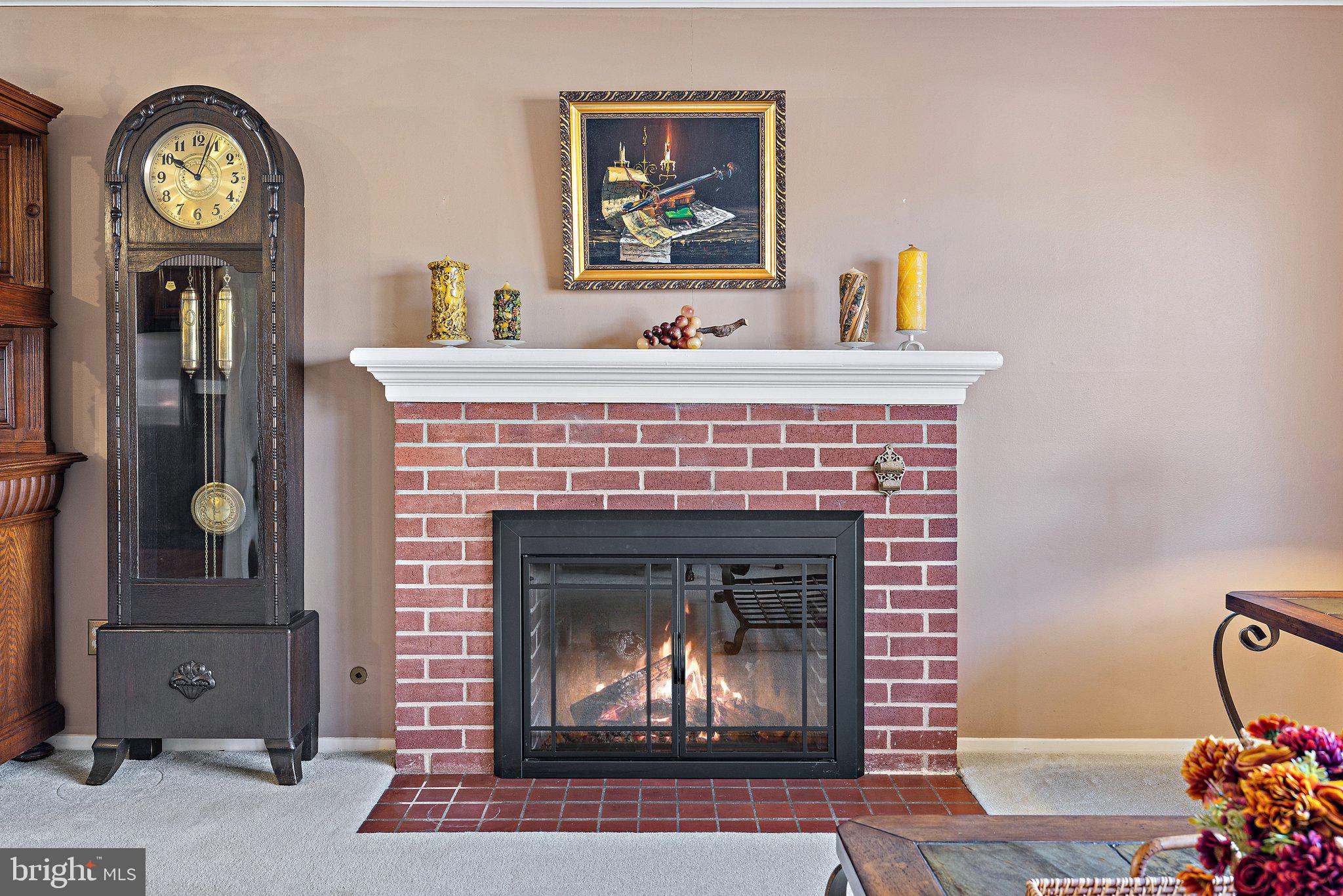 5209 Light Street Springfield, VA 22151 - Photo 12 of 56 Gas Fireplace