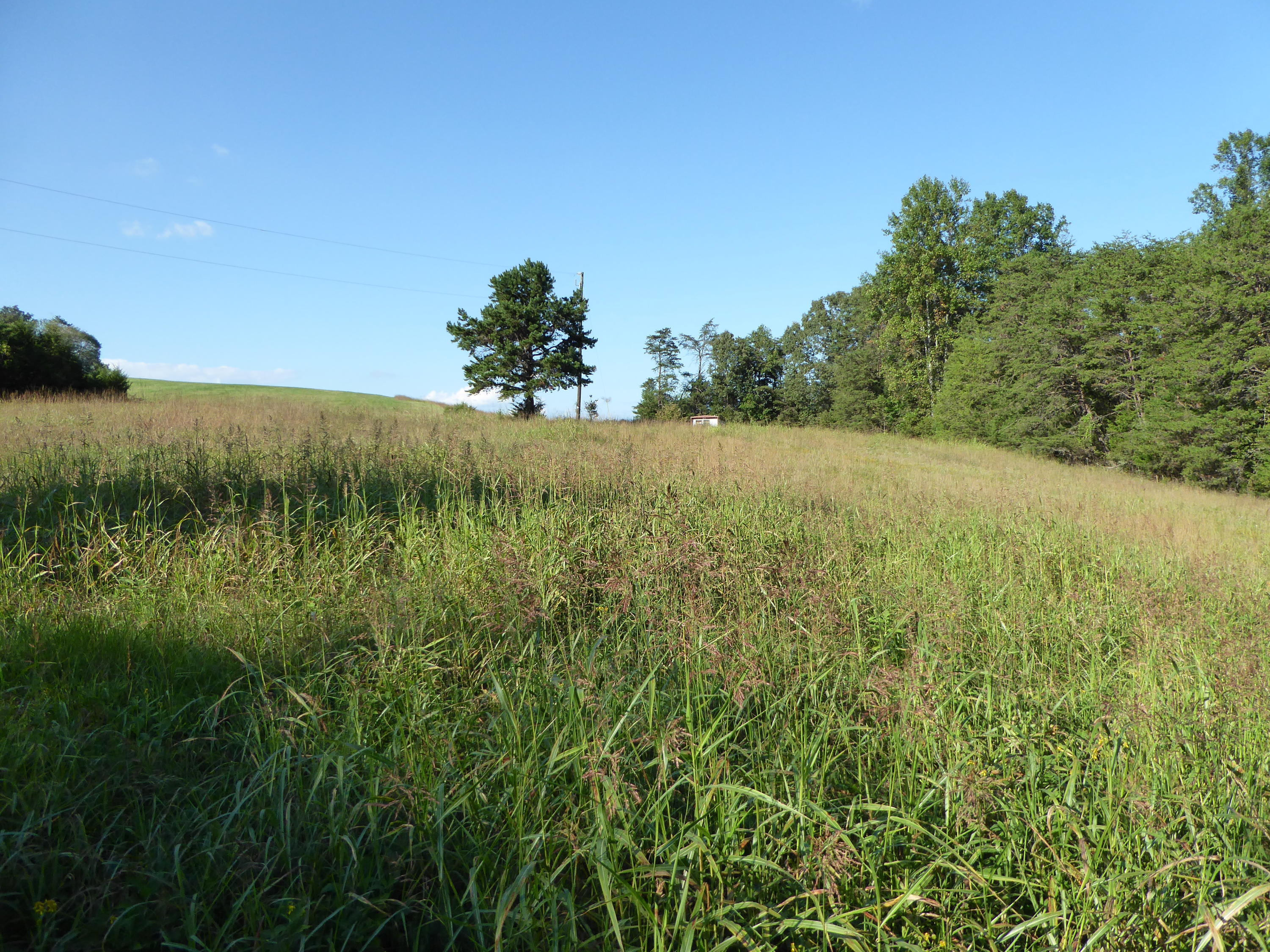 0 Standiford Road Union Hall, VA 24176 - Photo 3 of 6 a view of a lush green space