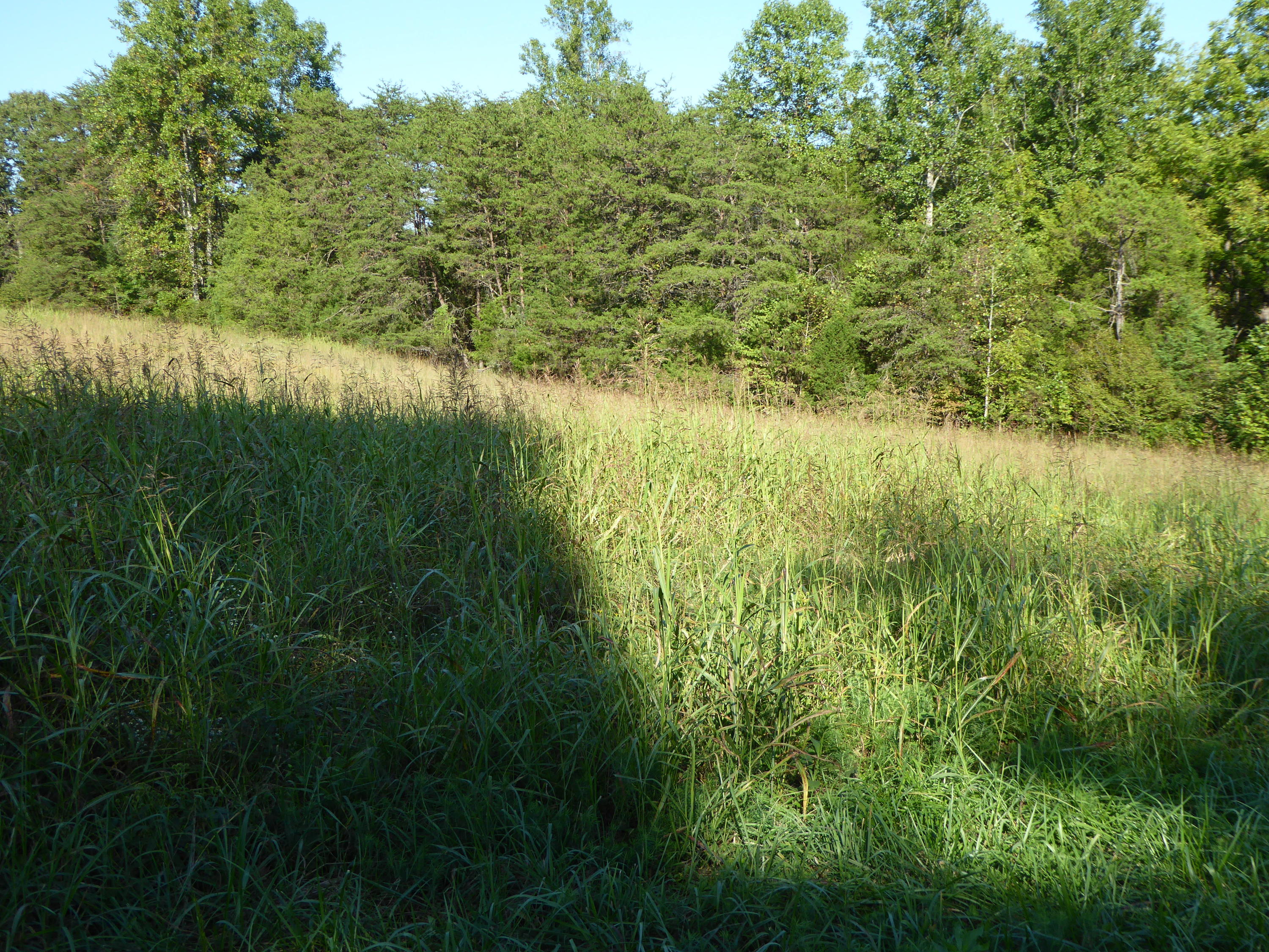 0 Standiford Road Union Hall, VA 24176 - Photo 6 of 6