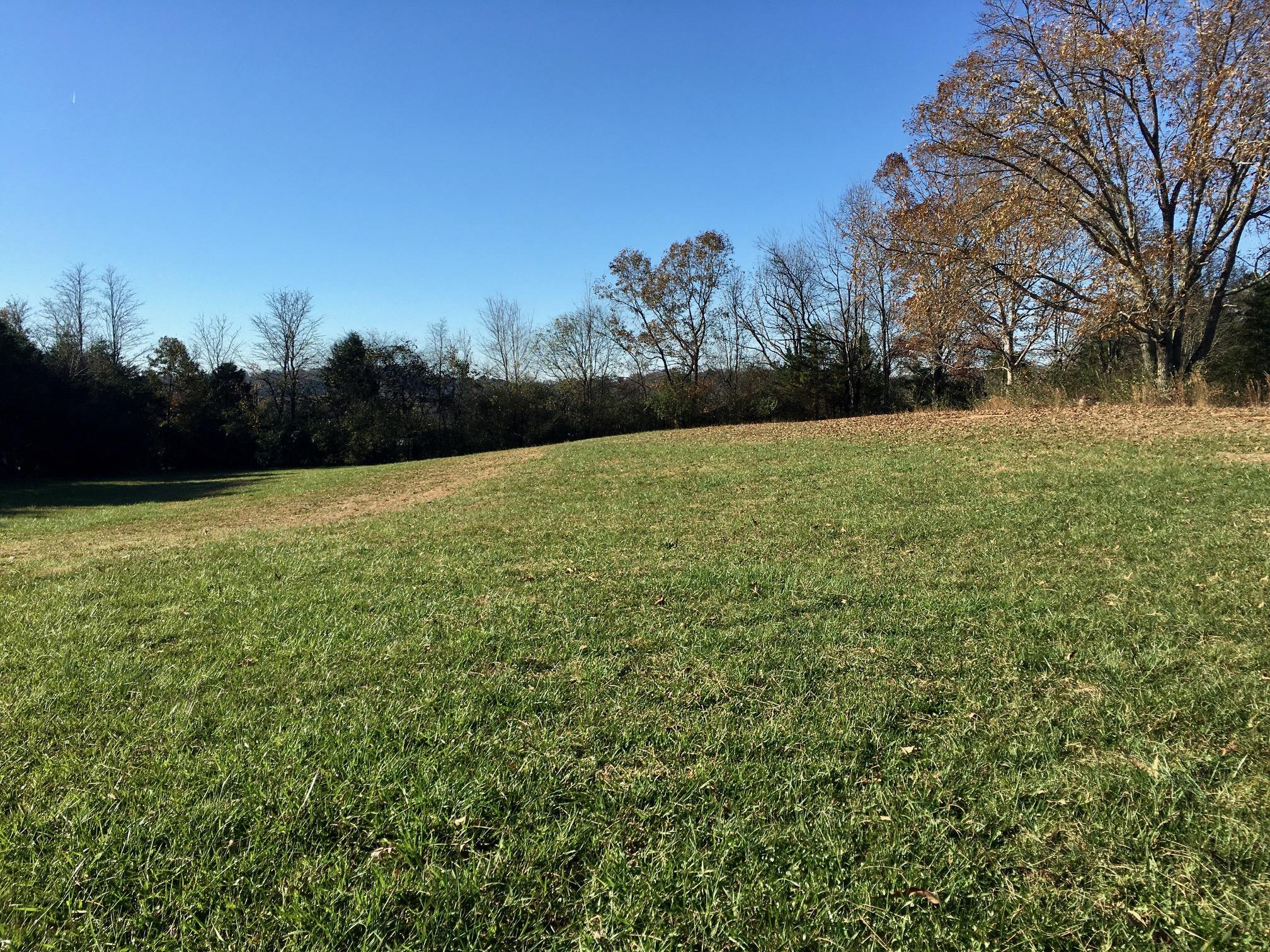 1288 Fork Road
