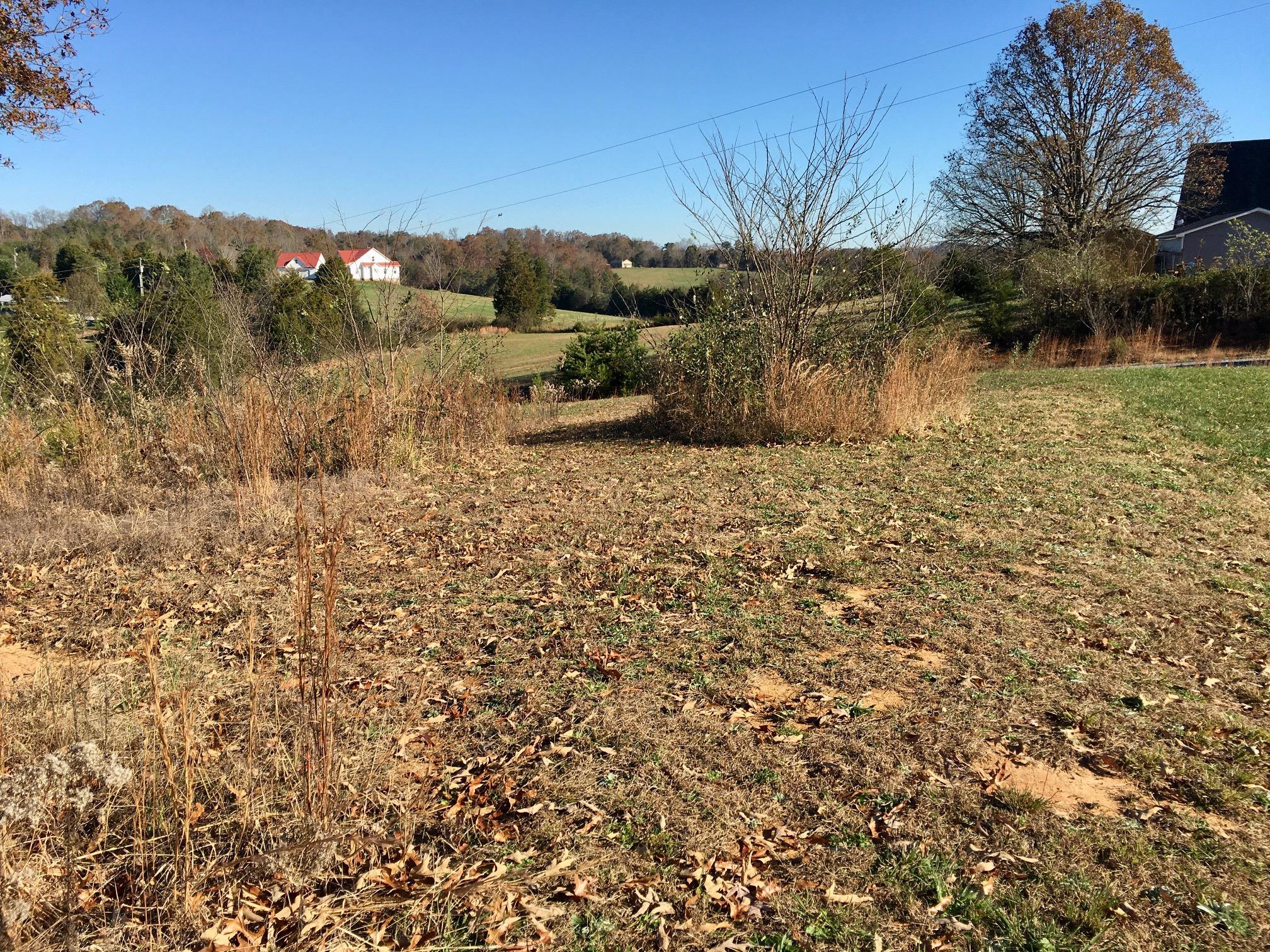 1288 Fork Road Greenback, TN 37742 - Photo 13 of 29 IMG_0110
