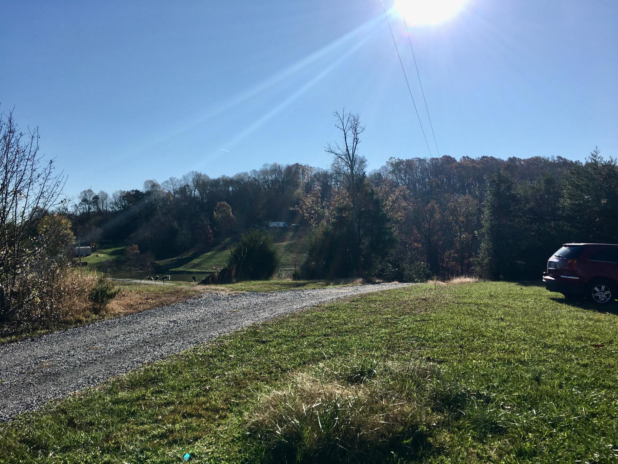1288 Fork Road Greenback, TN 37742 - Photo 14 of 29 IMG_0111