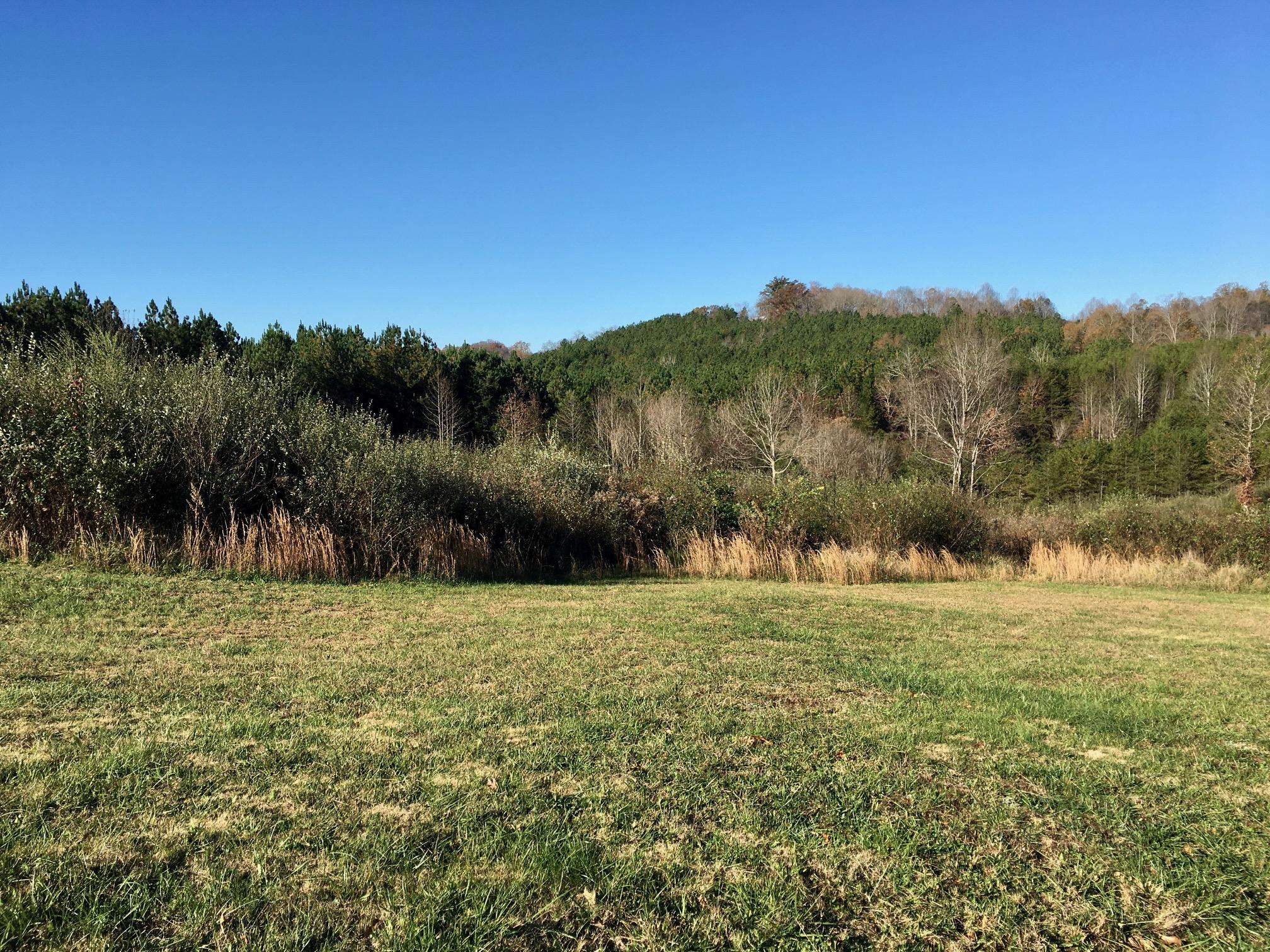 1288 Fork Road Greenback, TN 37742 - Photo 15 of 29 IMG_0114