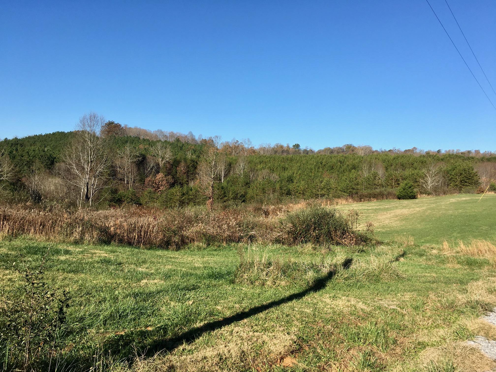 1288 Fork Road Greenback, TN 37742 - Photo 16 of 29 IMG_0115
