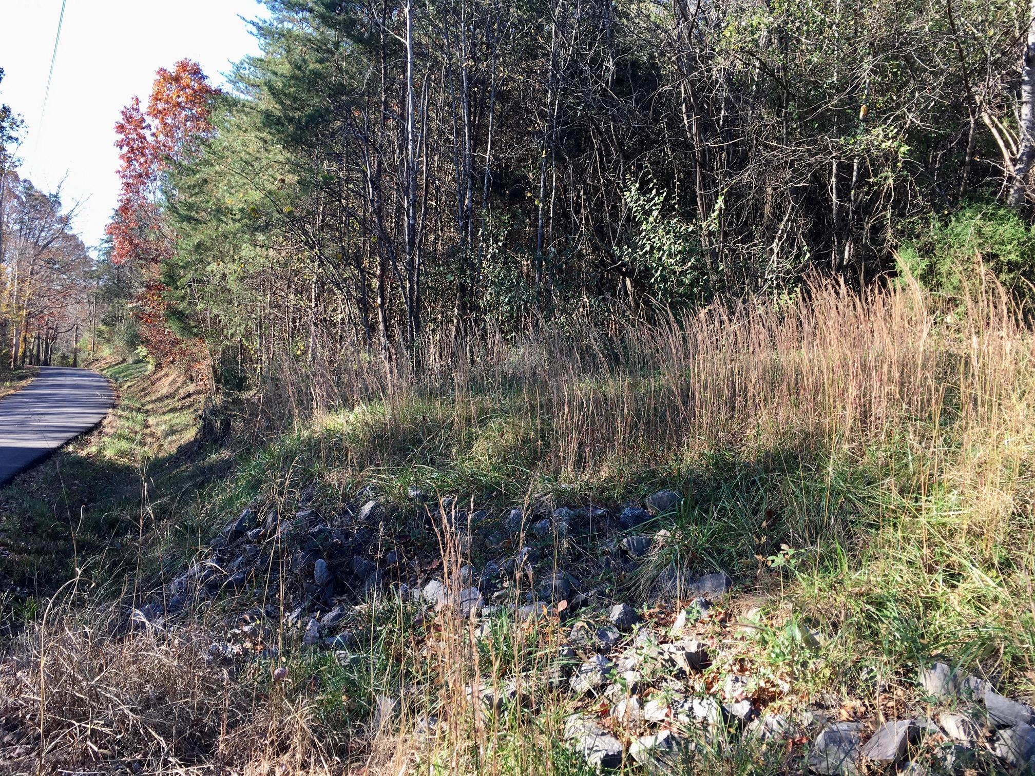 1288 Fork Road