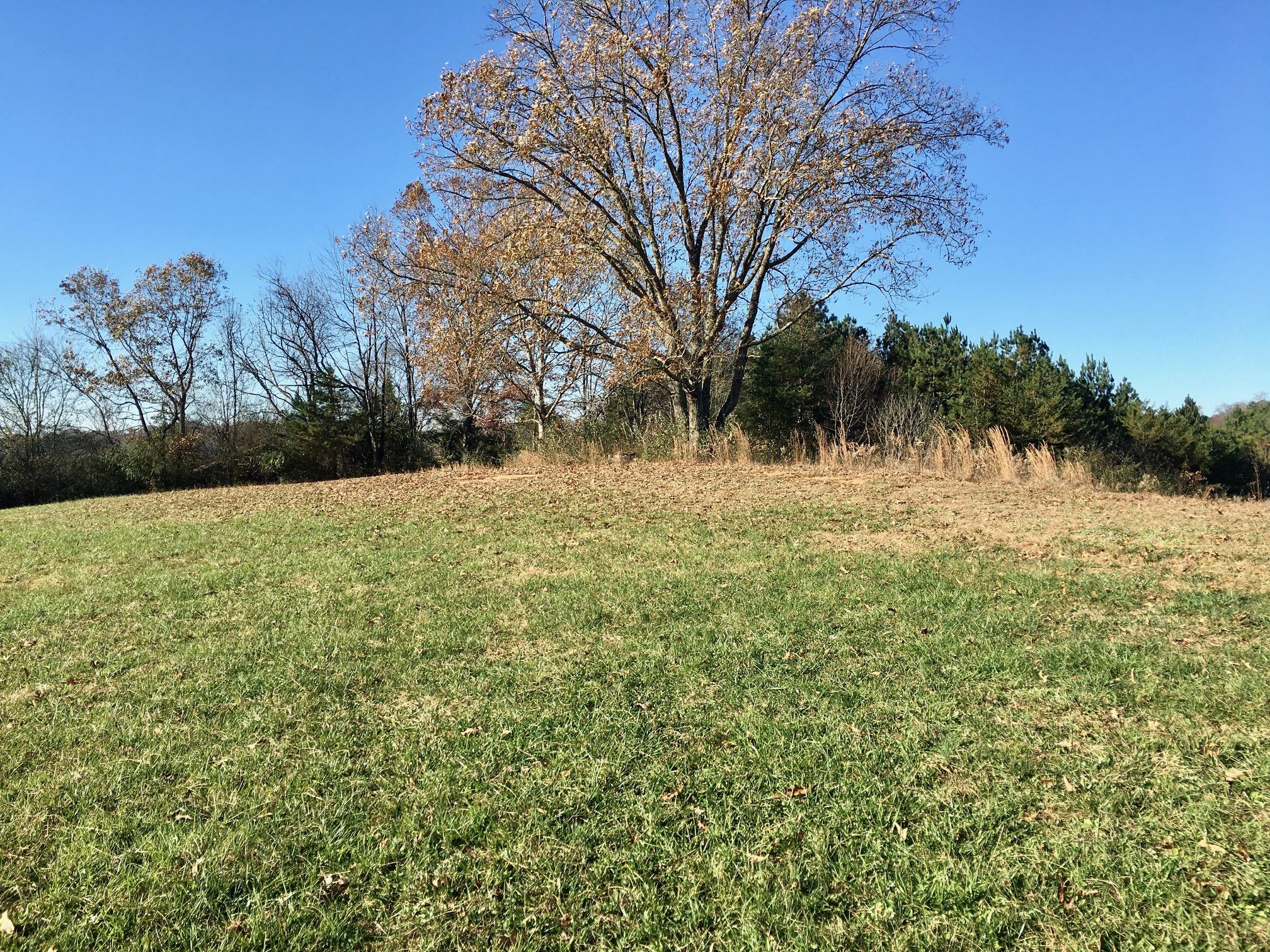 1288 Fork Road Greenback, TN 37742 - Photo 8 of 29 IMG_0105