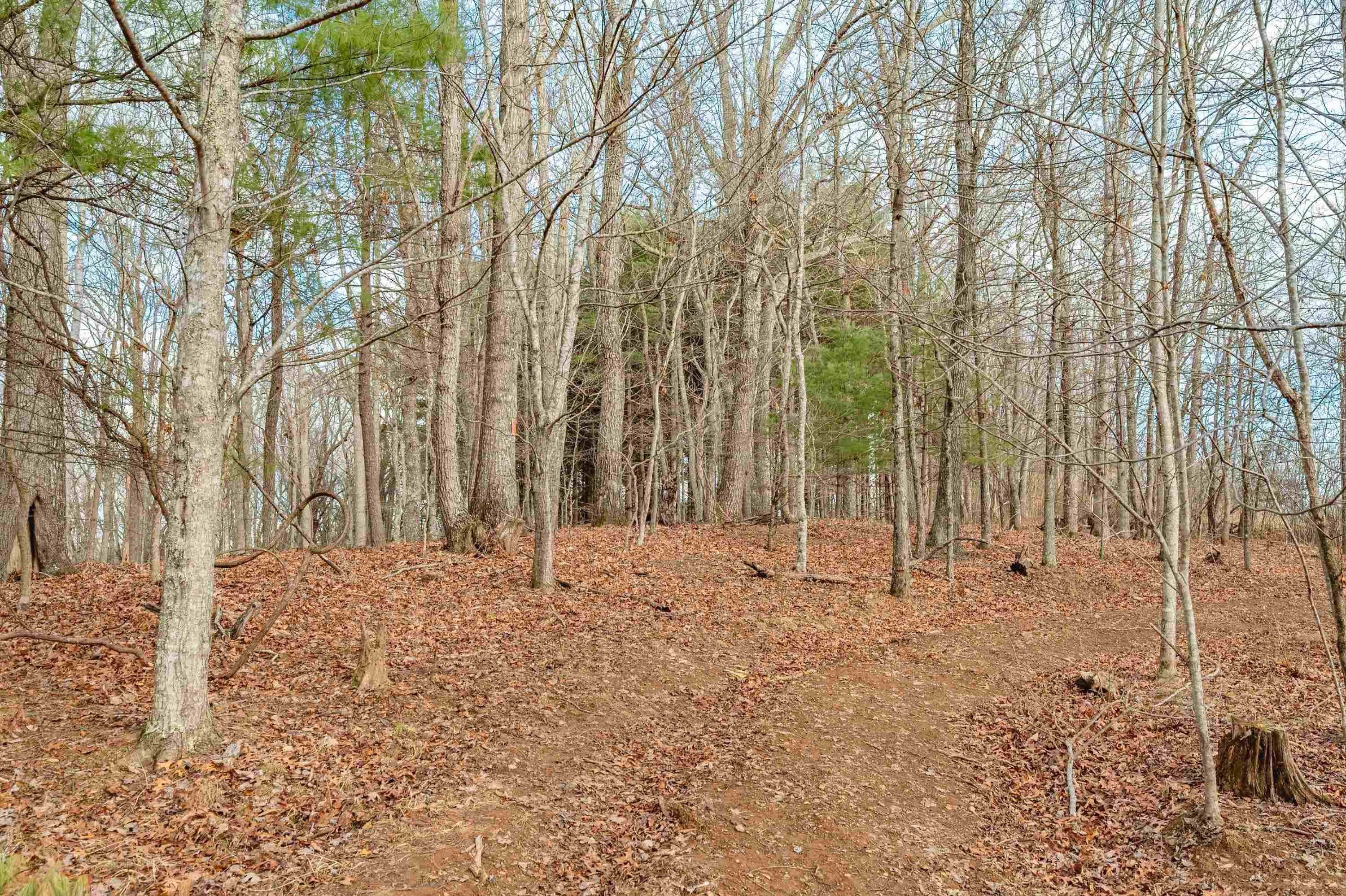 Tbd Spangler Mill Road Northeast Floyd, VA 24091 - Photo 28 of 44 Gallery Image 28