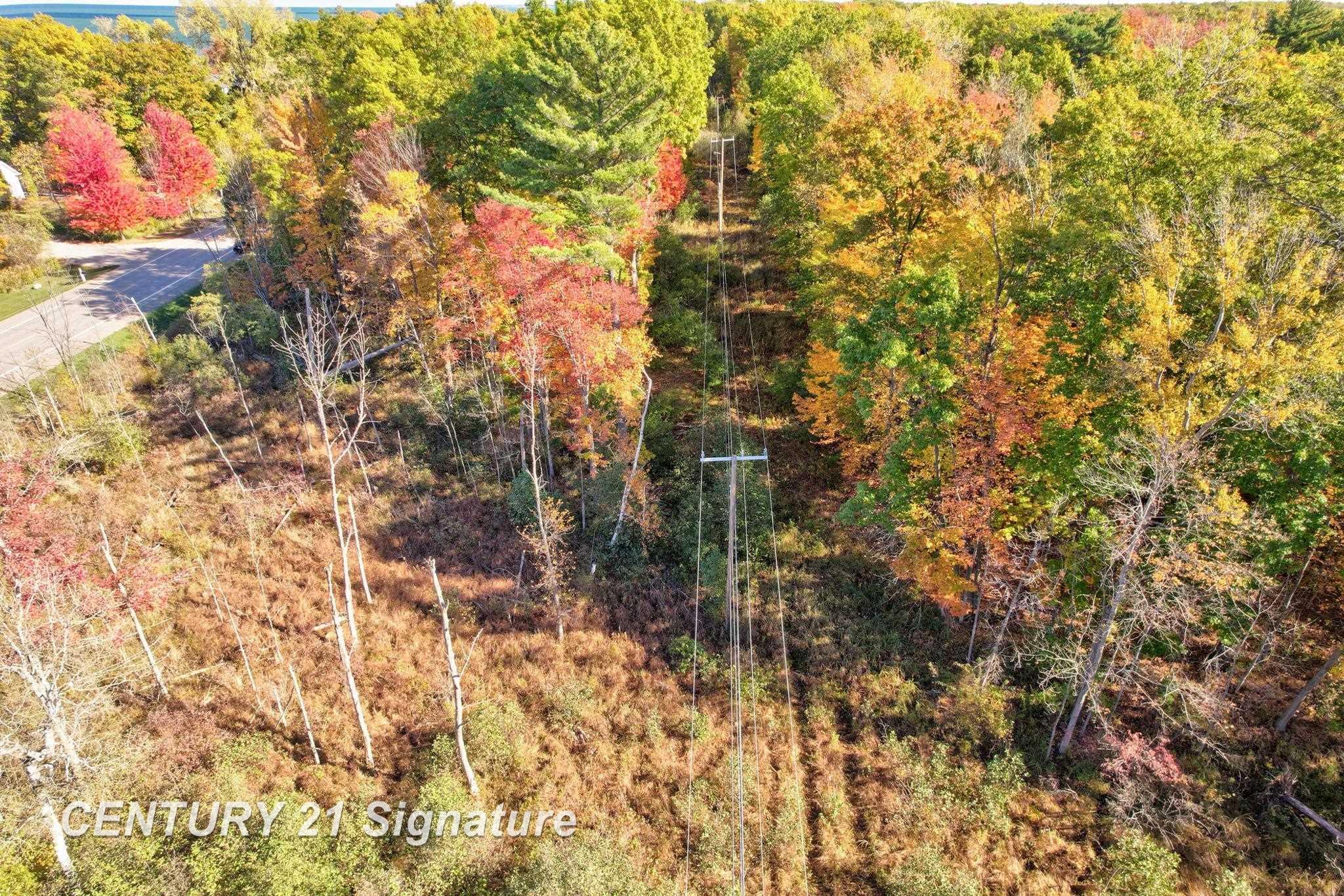V/l Port Austin Road Caseville, MI 48725 - Photo 16 of 25