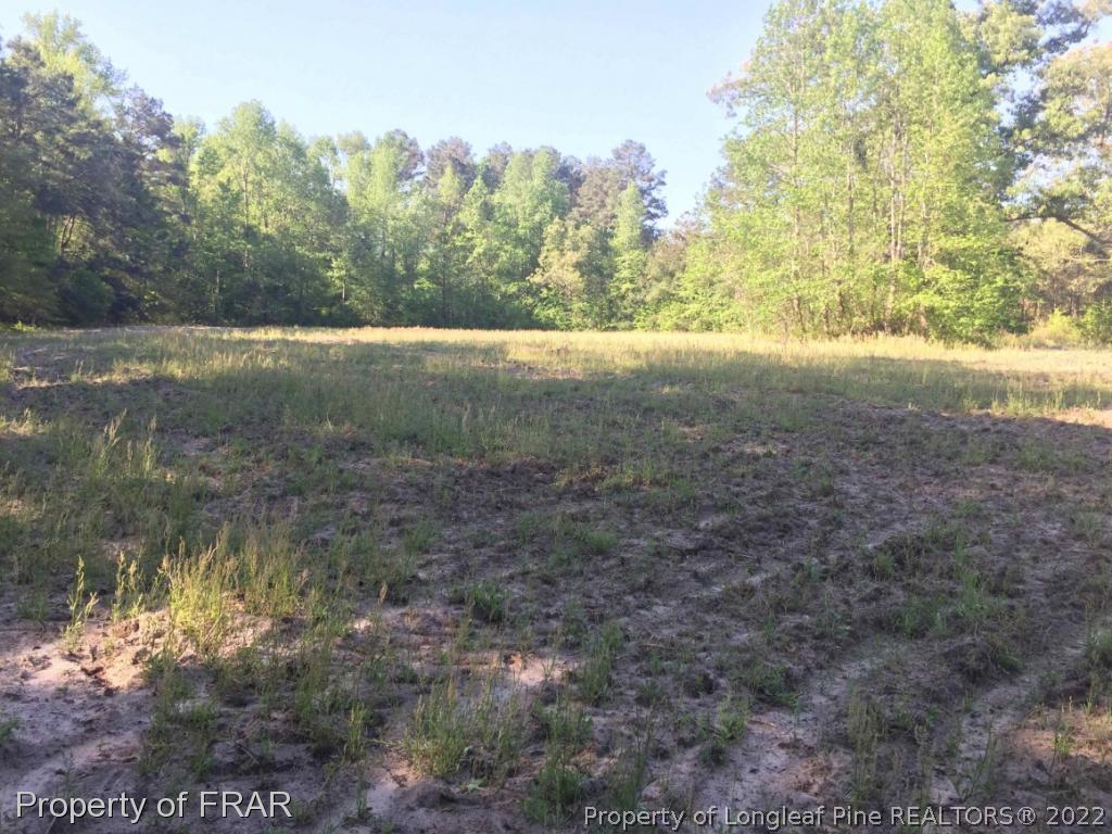 3300 Duck Pond Road Linden, NC 28356 - Photo 14 of 14 Gallery Image 14
