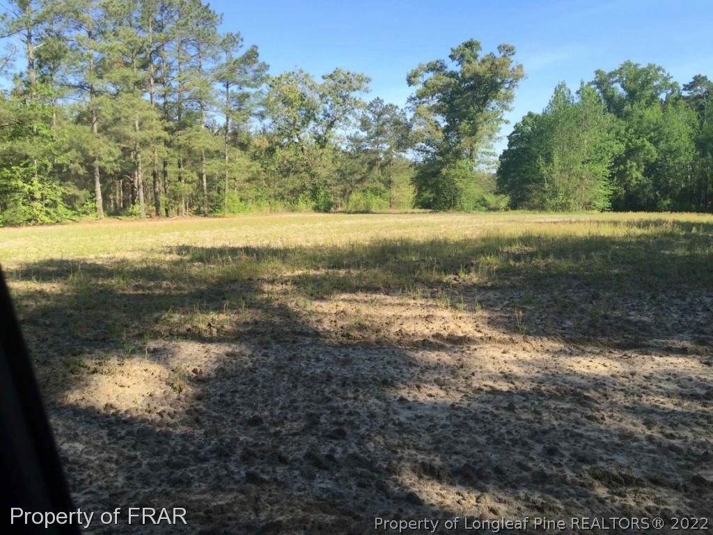 3300 Duck Pond Road Linden, NC 28356 - Photo 9 of 14 Gallery Image 9