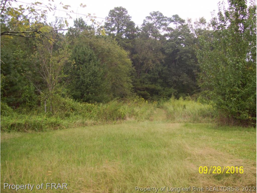 2931-33 Slocomb Road Linden, NC 28356 - Photo 8 of 23 Gallery Image 8