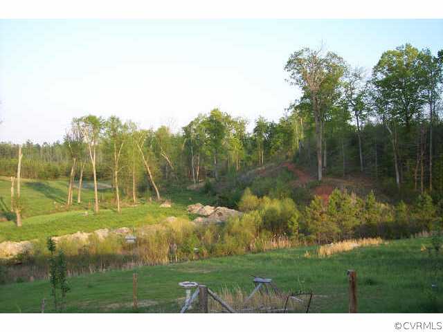 1323 Robinson Ferry Road Ebony, VA 23845 - Photo 3 of 7 Other - Great building site