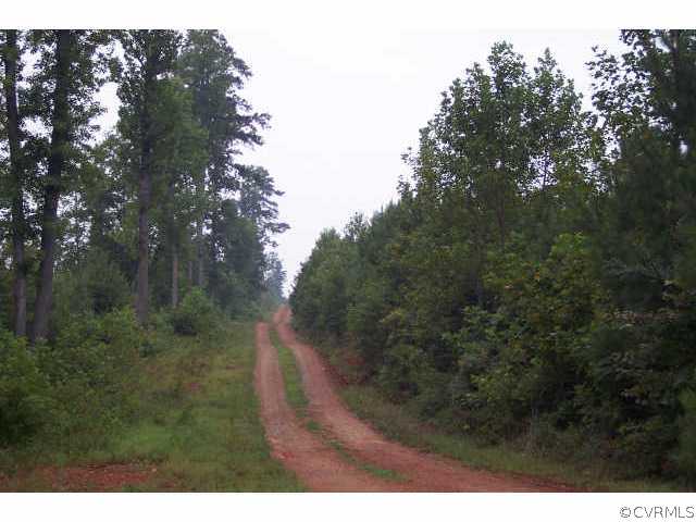 1323 Robinson Ferry Road Ebony, VA 23845 - Photo 5 of 7 Other - Winding Driveway Through Pines