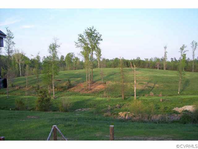 1323 Robinson Ferry Road Ebony, VA 23845 - Photo 7 of 7 Other - Hunters delight