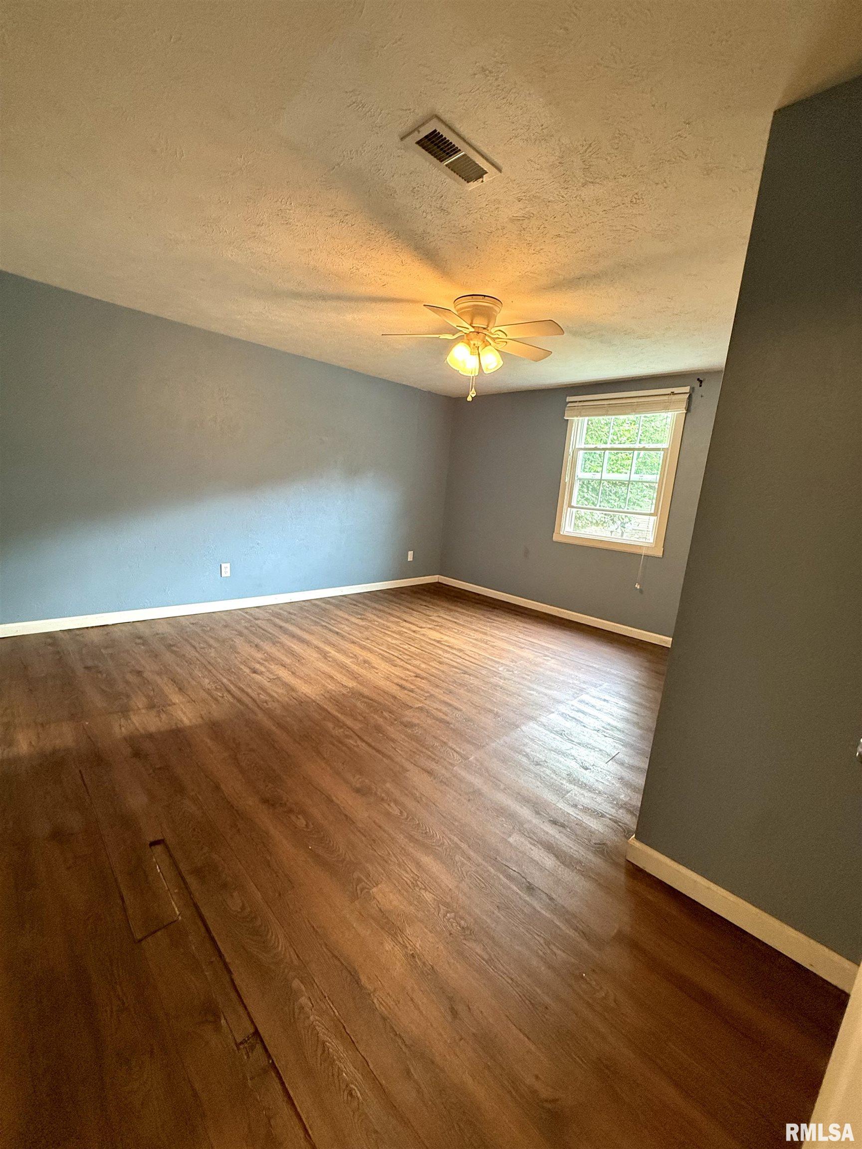 107 Bevard Street Cambria, IL 62918 - Photo 6 of 18