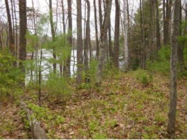 Lot 9 Lumen Lake Rd Lake Hazelhurst, WI 54531 - Photo 3 of 7 Gallery Image 3