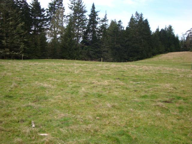 0 Berta Road Eureka, CA 95503 - Photo 14 of 20