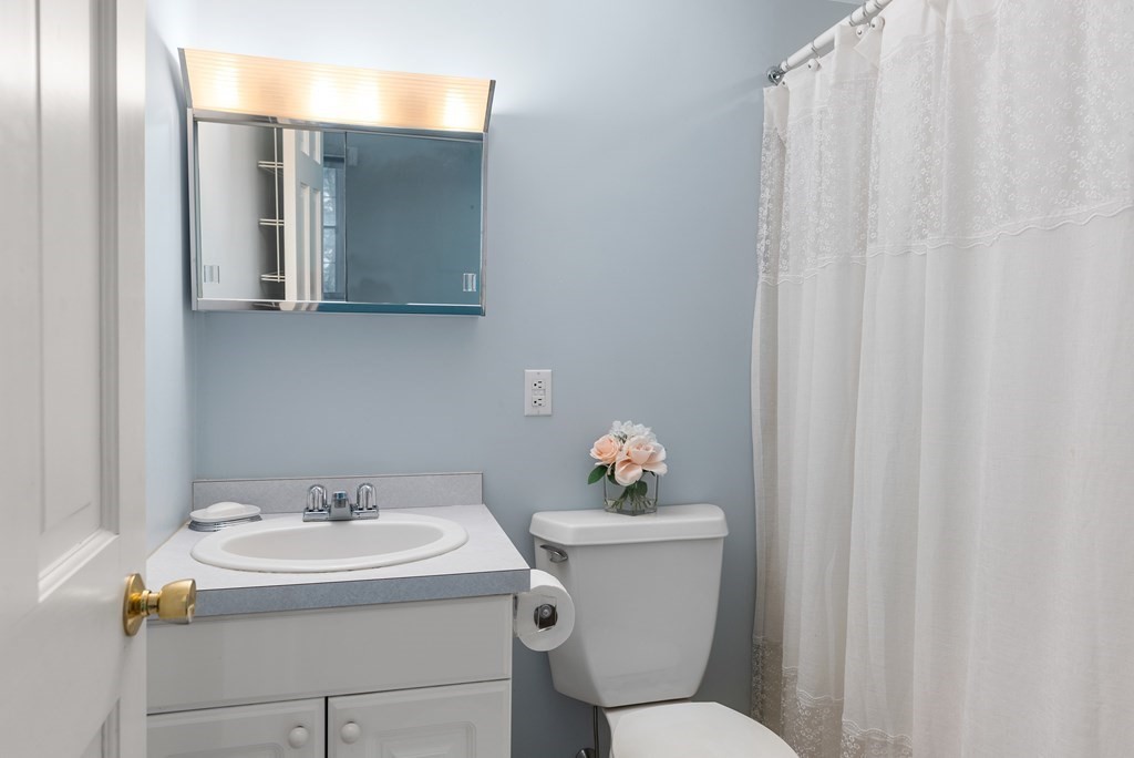 4 Standish Drive Canton, MA 02021 - Photo 31 of 32 a bathroom with a sink mirror and toilet