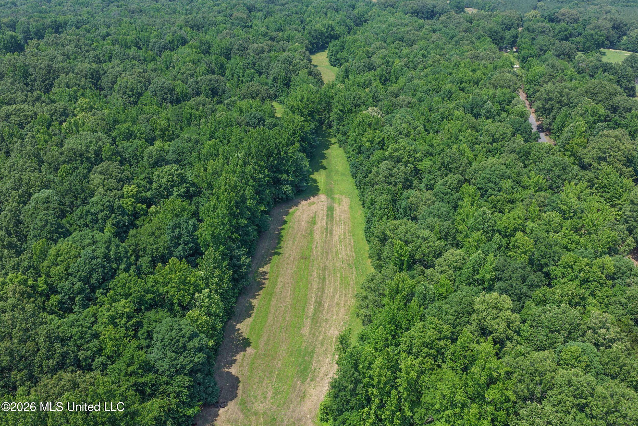 884 Avant Road Crenshaw, MS 38621 - Photo 56 of 154 4dbyicr61
