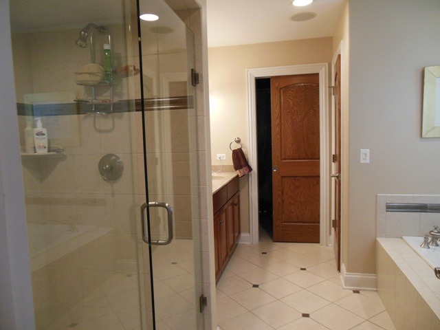 509 Phillippa Street Hinsdale, IL 60521 - Photo 13 of 20 a bathroom with a shower