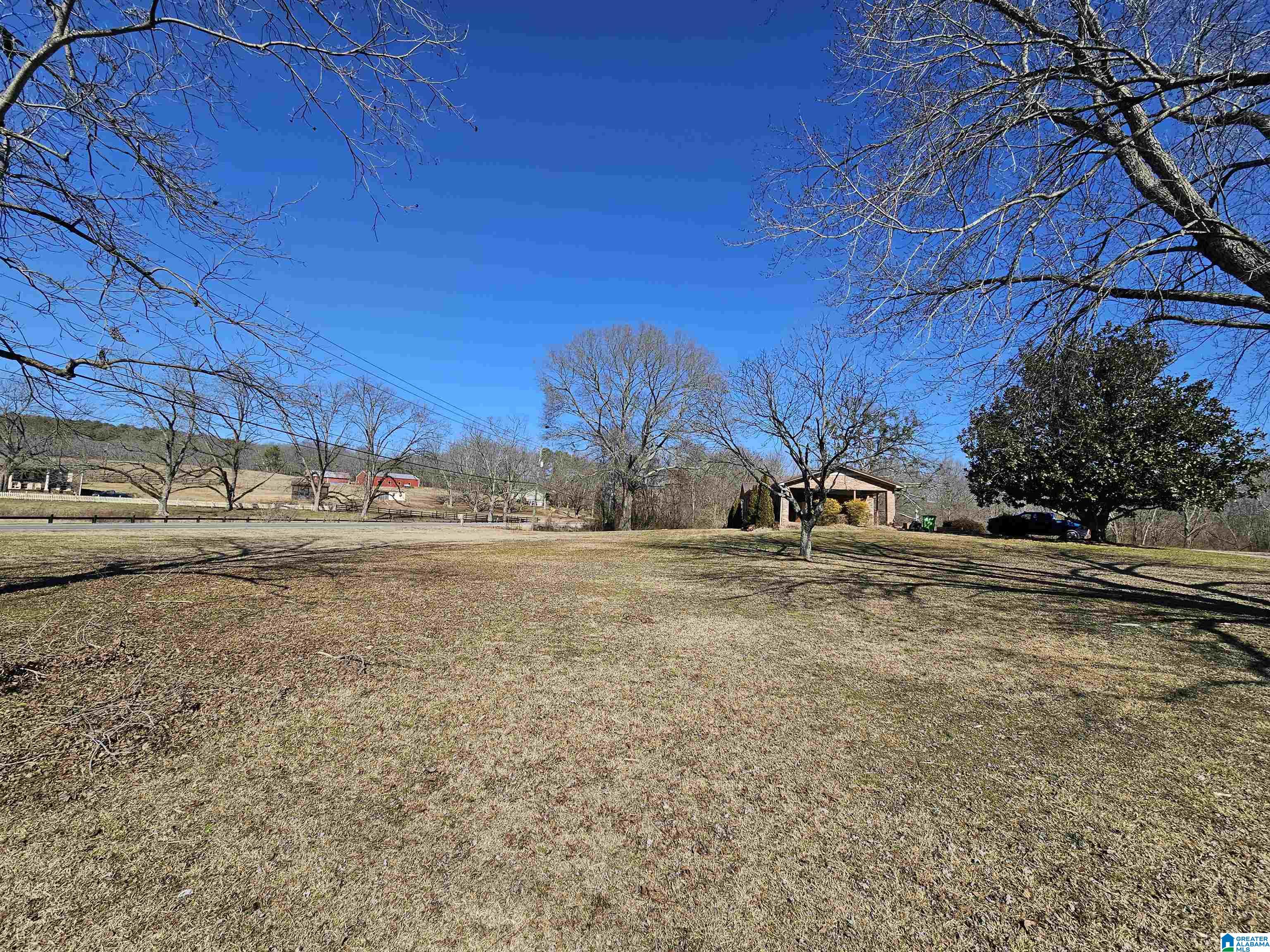 4672 Highway 11 Springville, AL 35146 - Photo 13 of 18
