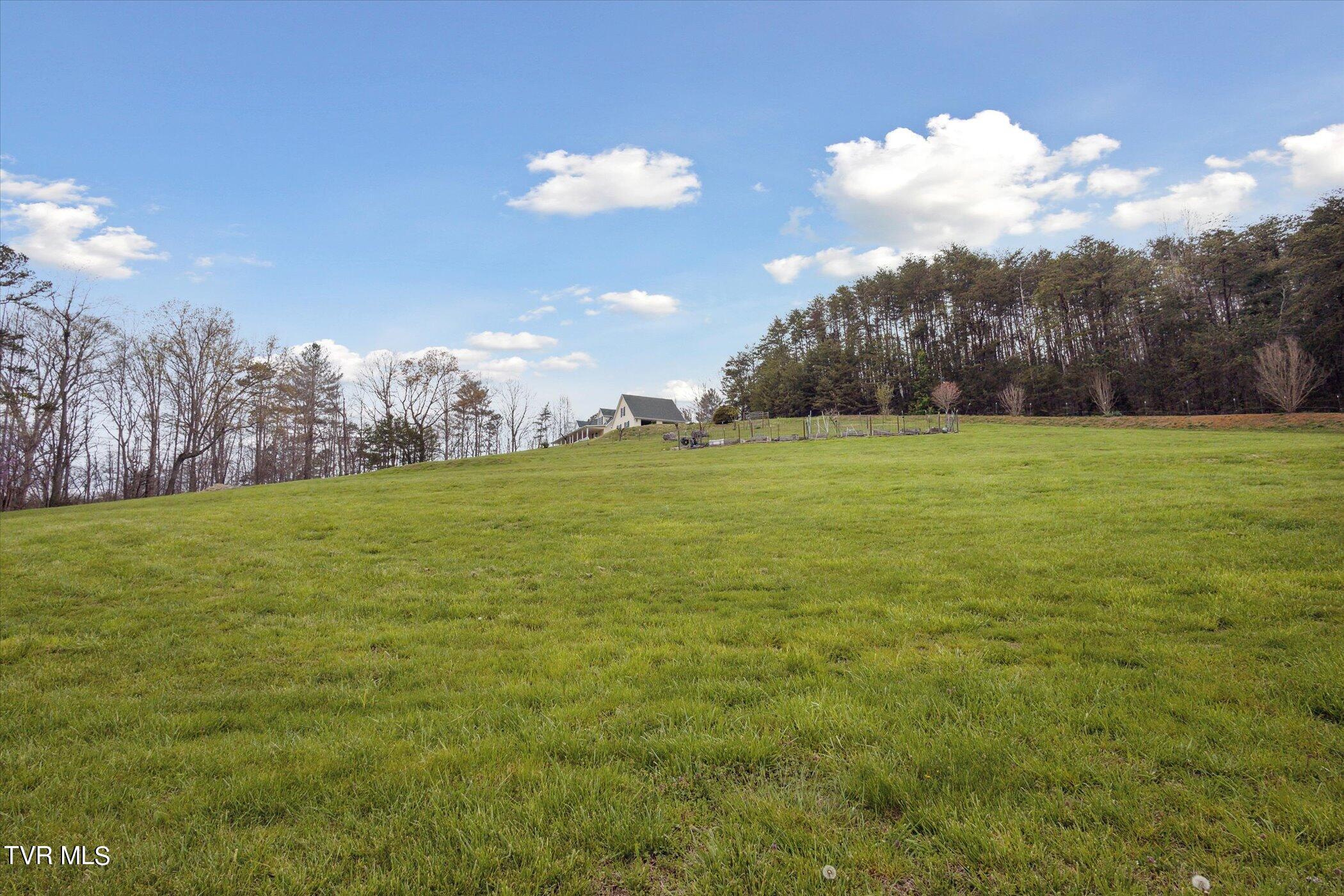 3630 Kenyon Road Parrottsville, TN 37843 - Photo 36 of 50 37-3639-Kenyon-Rd-WindowStill-35