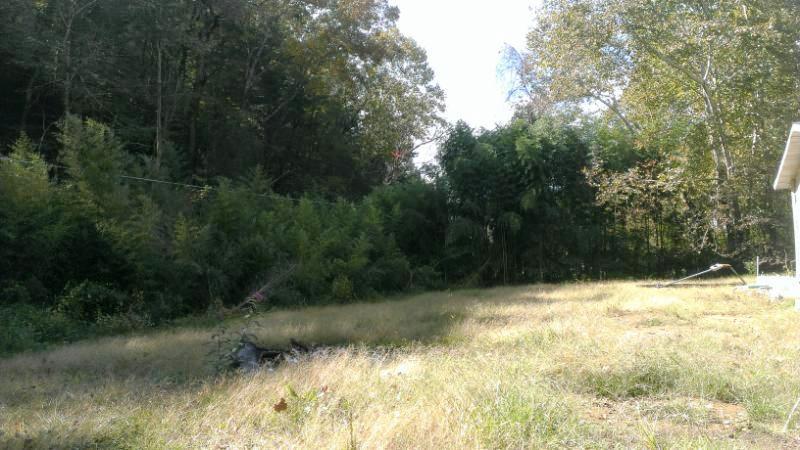 134 W Road Oliver Springs, TN 37840 - Photo 14 of 17 IMAG5548