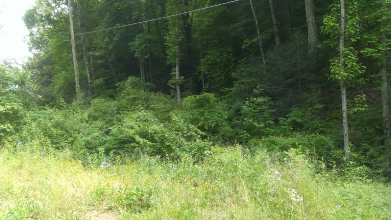 134 W Road Oliver Springs, TN 37840 - Photo 15 of 17 IMAG7053