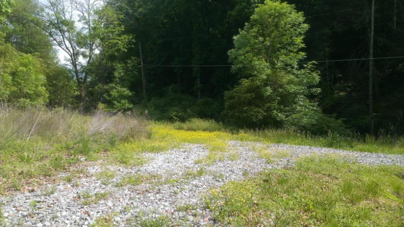 134 W Road Oliver Springs, TN 37840 - Photo 16 of 17 IMAG7051