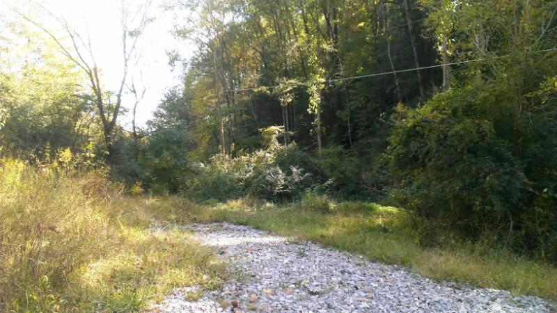 134 W Road Oliver Springs, TN 37840 - Photo 8 of 17 IMAG5545