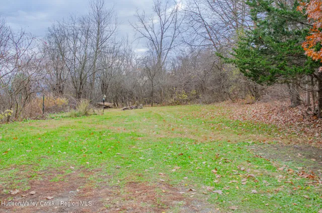 a view of a yard with a tree