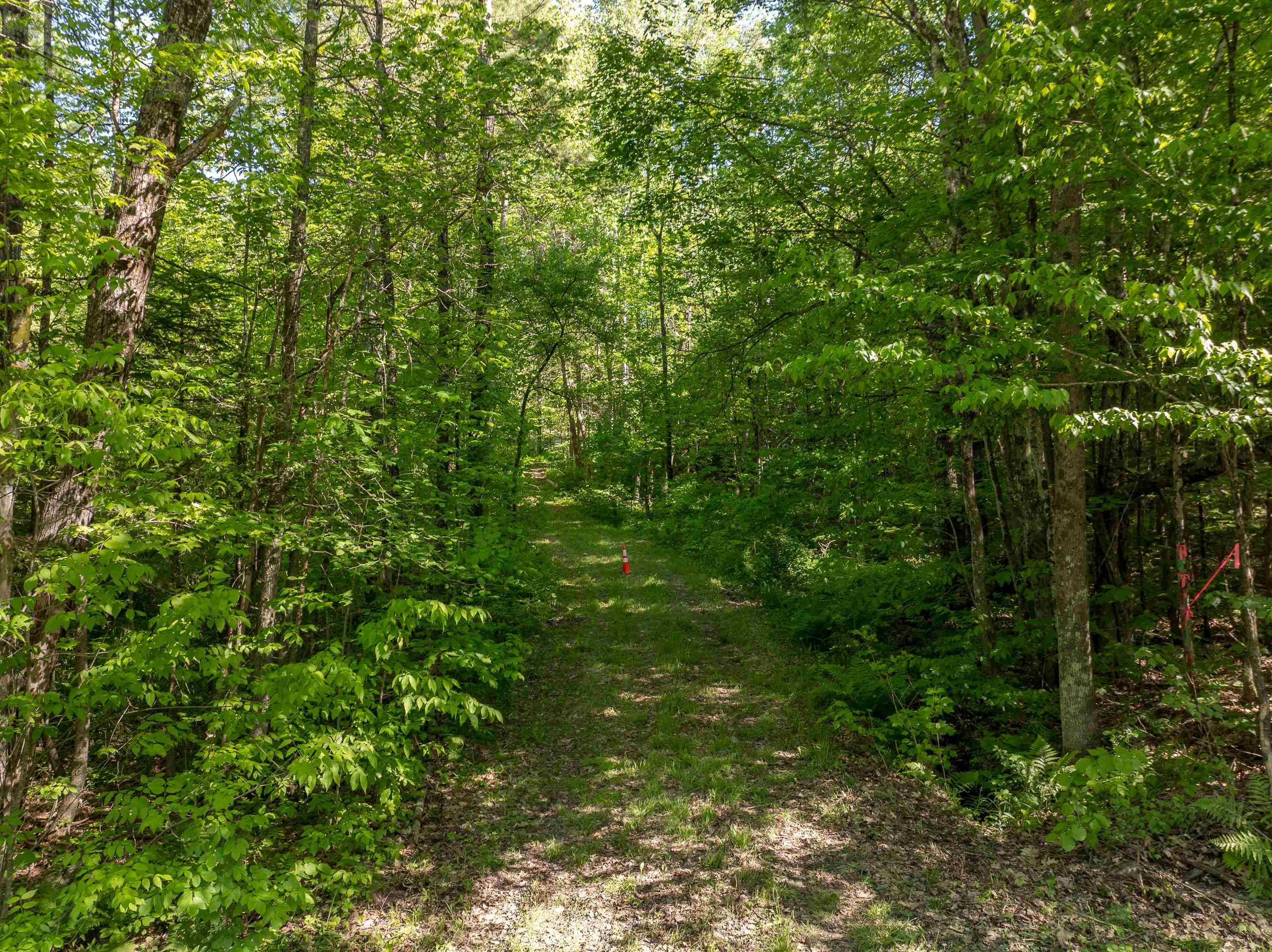 Lot 22 Rabbit Path Road Landaff, NH 03585 - Photo 13 of 19
