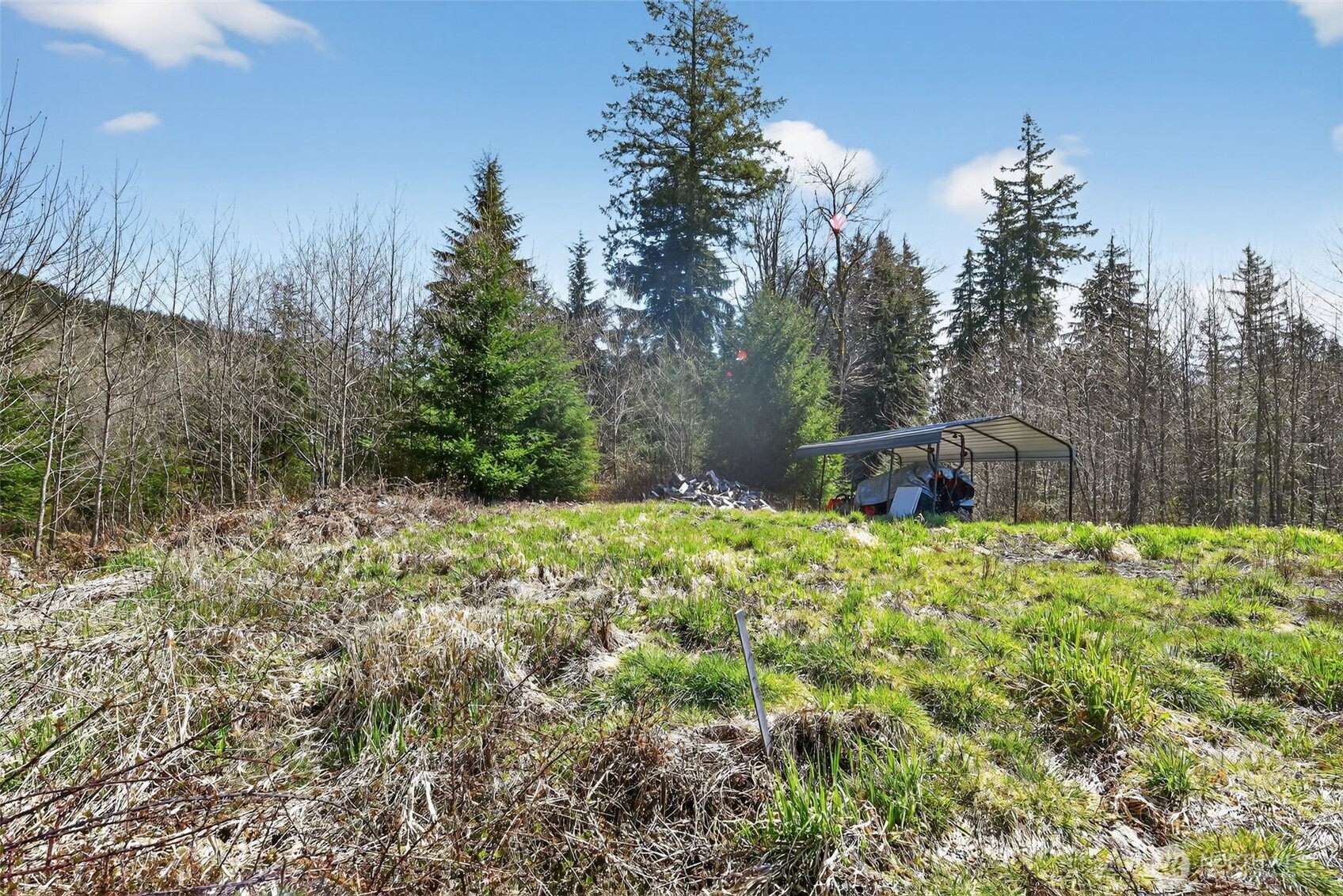 210 Bellicum Road Morton, WA 98356 - Photo 30 of 35 Gallery Image 30