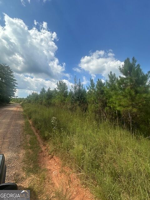 0 Cook Road, Unit TRACT #3 Monticello, GA 31064 - Photo 1 of 12 Gallery Image 1