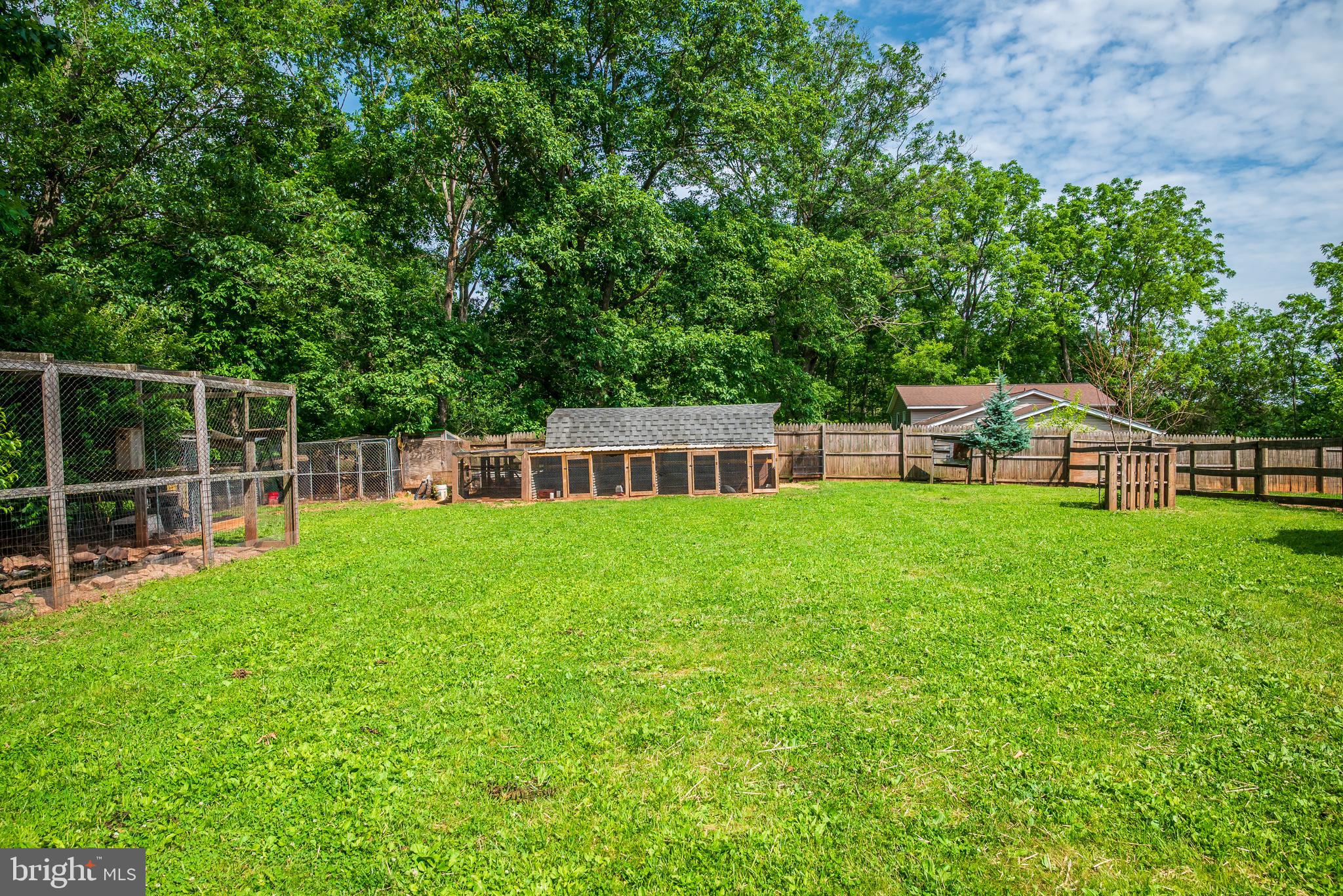 1935 Trevanion Road Taneytown, MD 21787 - Photo 39 of 62 Rear Yard- Filled with Beautiful Pet Birds