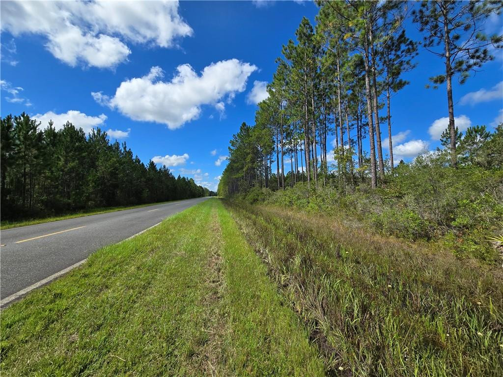 0 Swamp Road Waycross, GA 31503 - Photo 6 of 12