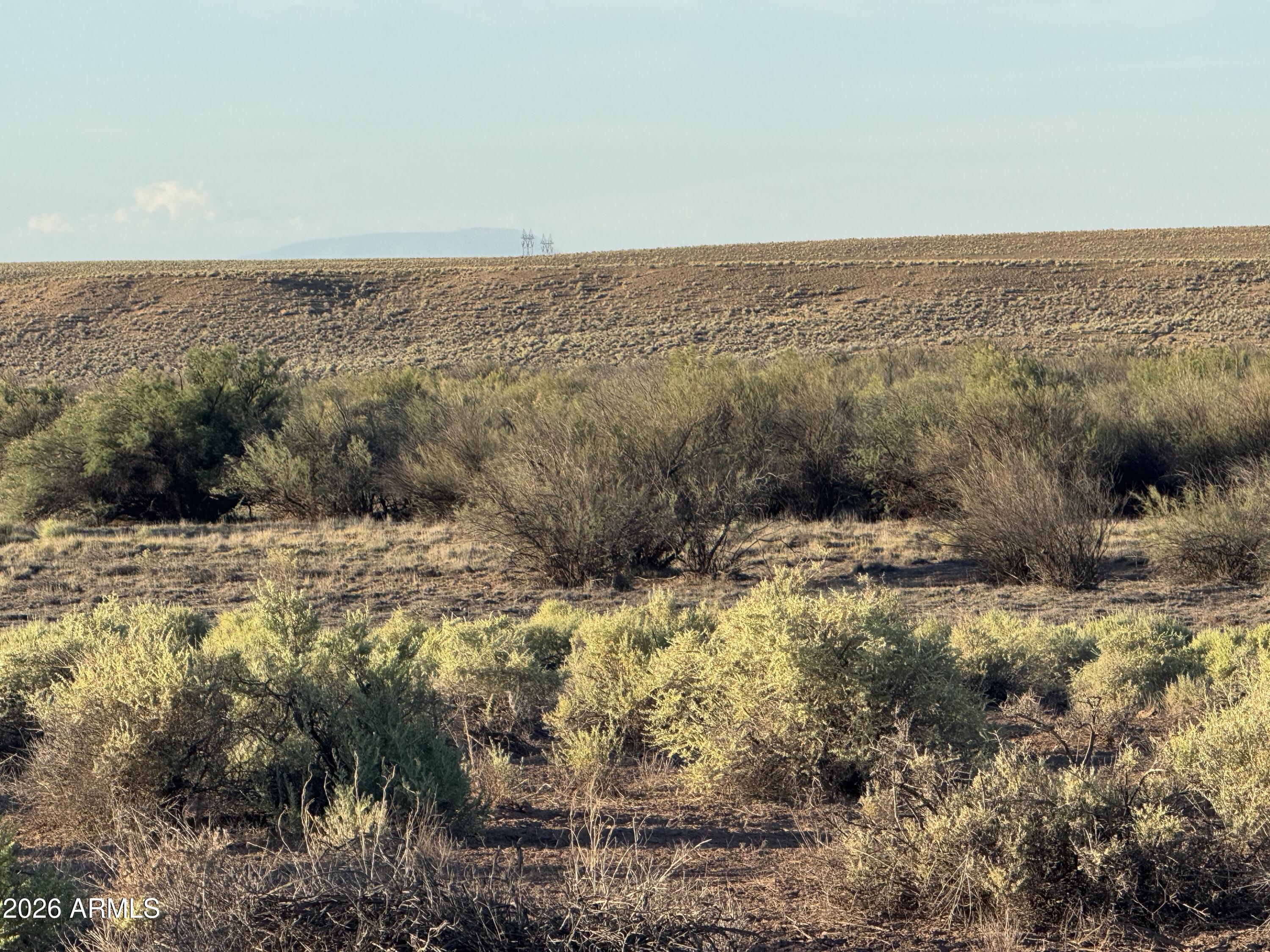 Lot 445 Carrizo Ranch, Unit 445 St. Johns, AZ 85936 - Photo 8 of 17 IMG_1885