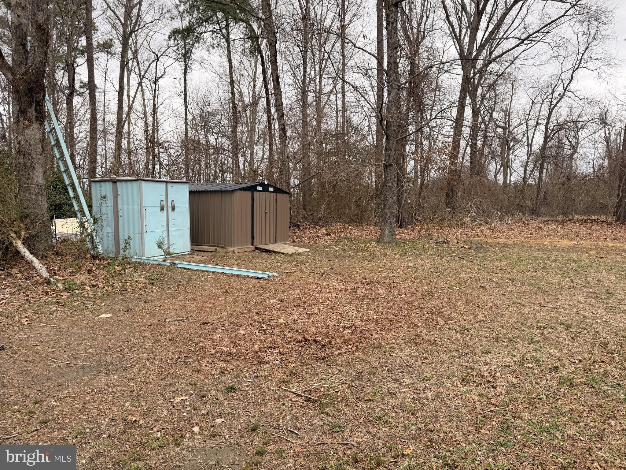 4714 Payne Road Hurlock, MD 21643 - Photo 6 of 26 Backyard