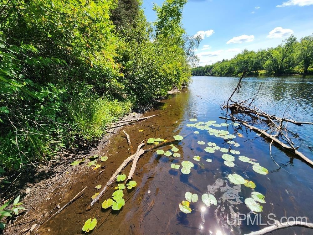 2.63-acres Sheltrow Road, Unit LOT 6PAINT RIVER HIGHLAN Crystal Falls, MI 49920 - Photo 9 of 53 Gallery Image 9