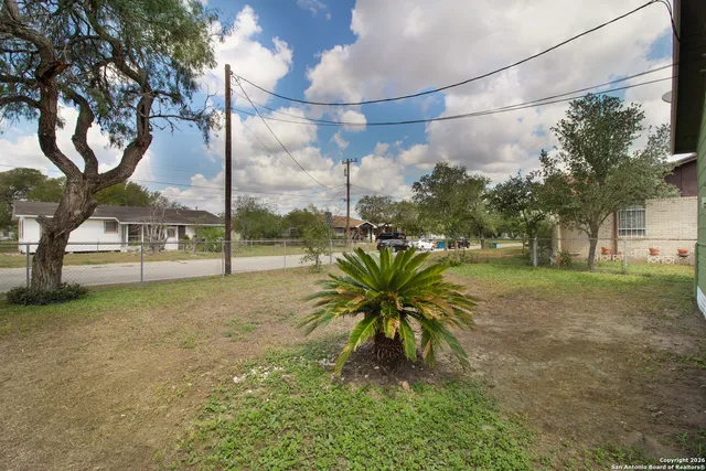 a plant is in the middle of a yard