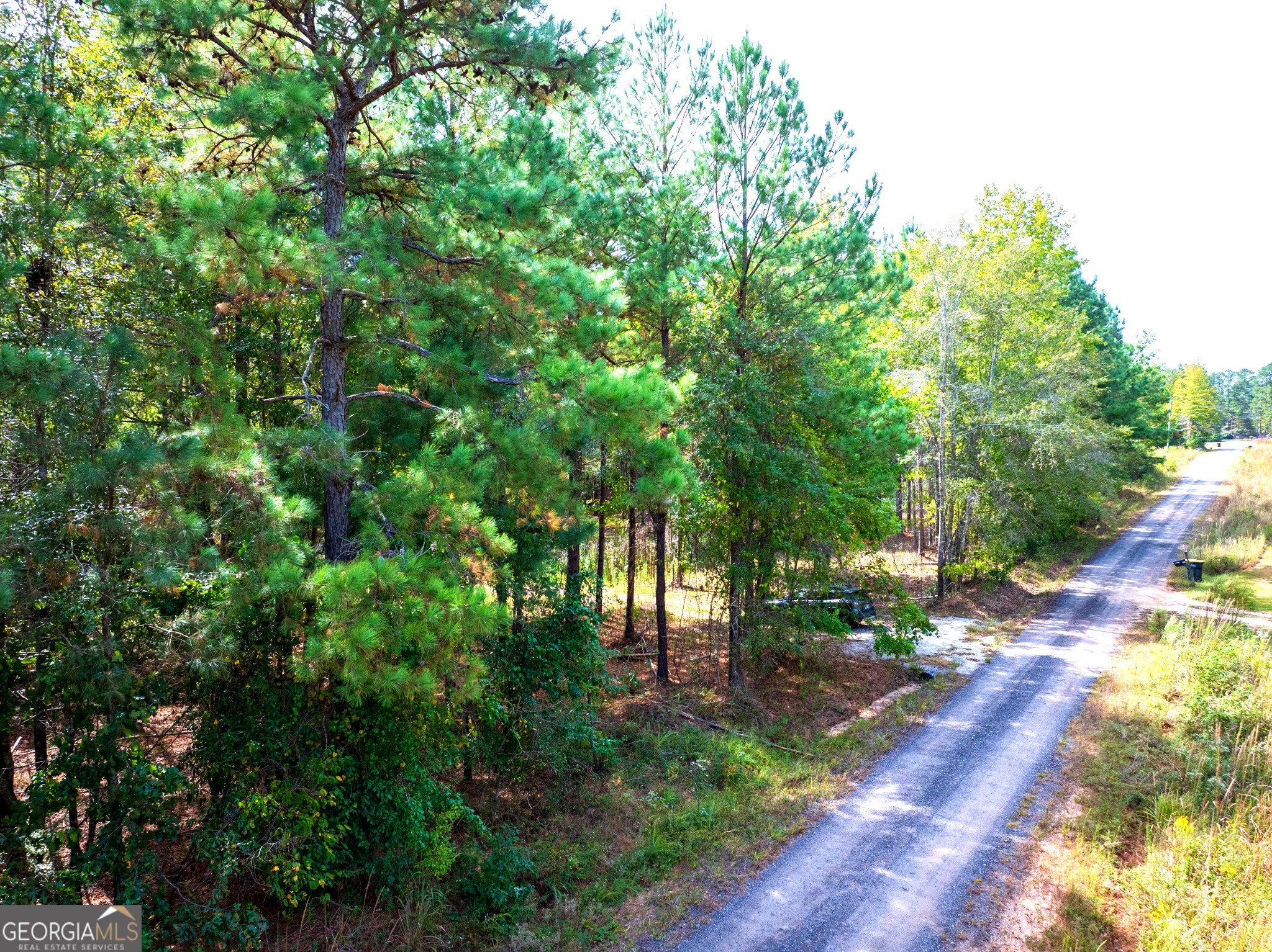 661 Hugh O Neal Road Greenville, GA 30222 - Photo 4 of 10 a view of backyard with green space